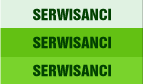 Serwisanci